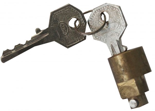 Dispositif antivol ALBE - 404110.001 - Dispositifs antivol